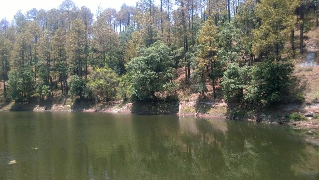 Chaubatia Apple Gardens