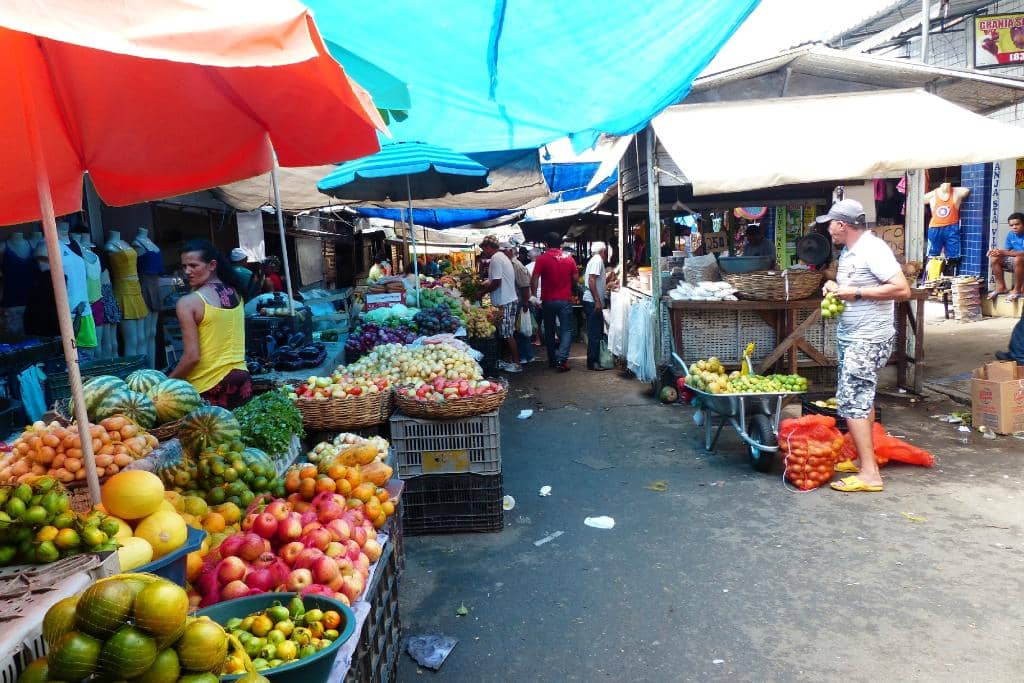 Fresh Produce Galore