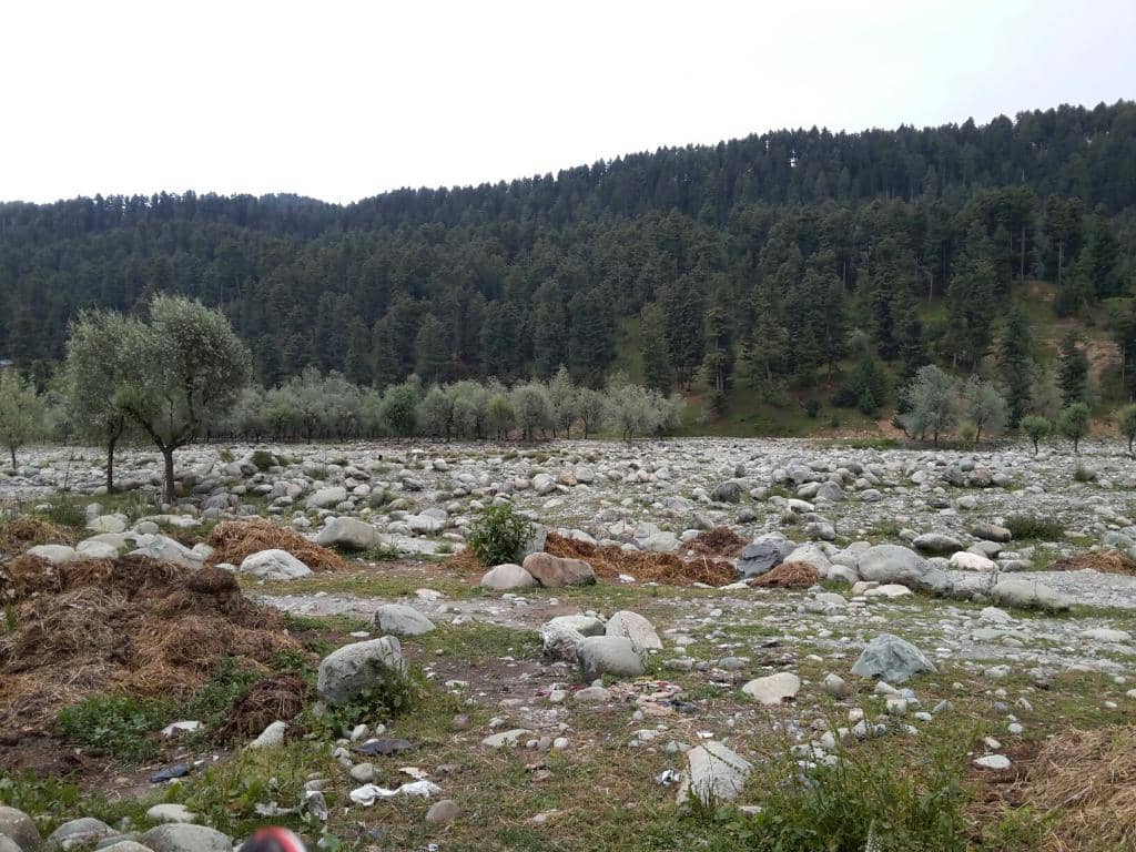 Scenic Meadow Views