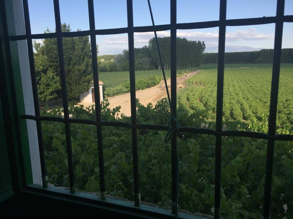 The Surrounding Gardens