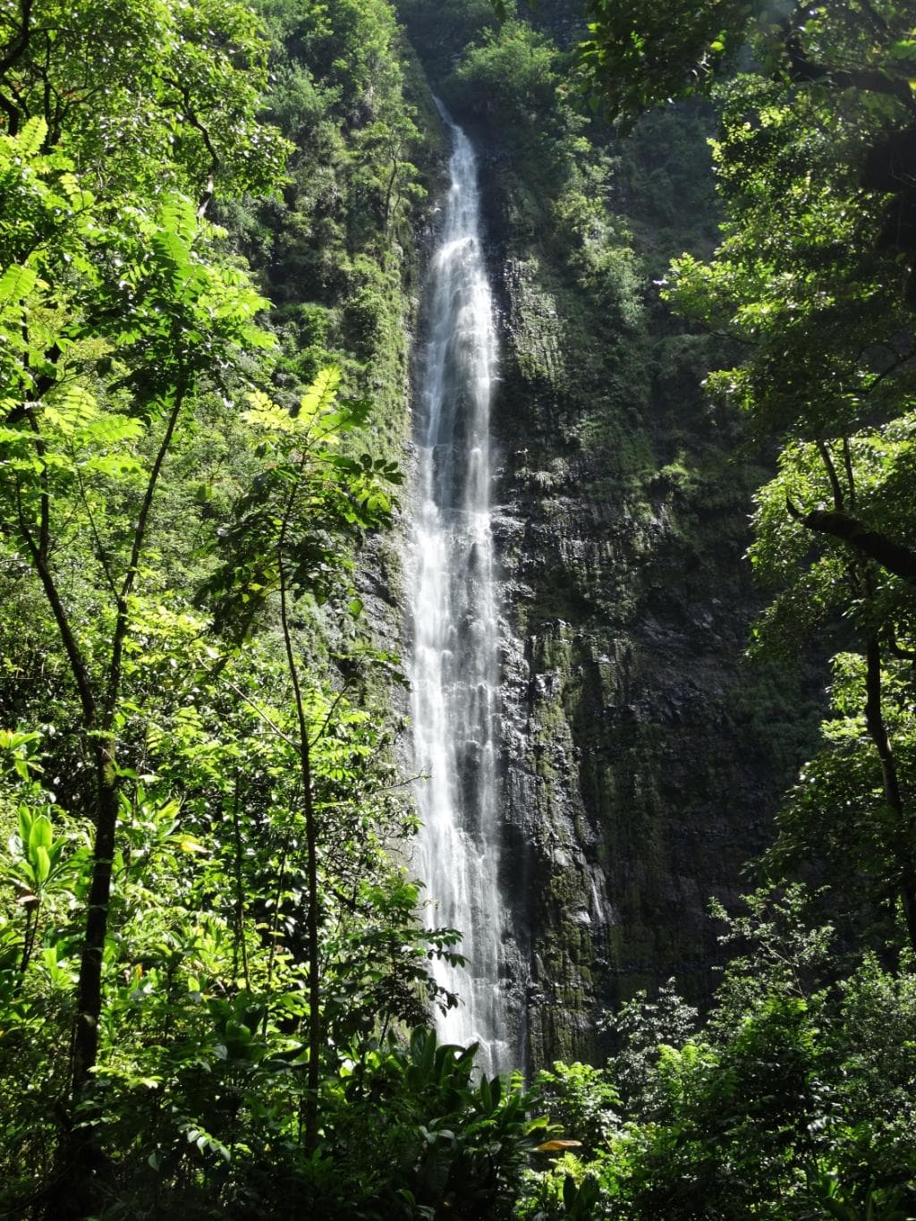 Falls from a distance