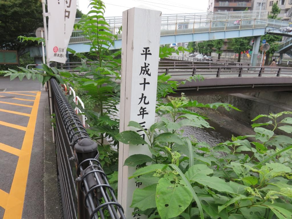 日本年金機構側木製の標柱