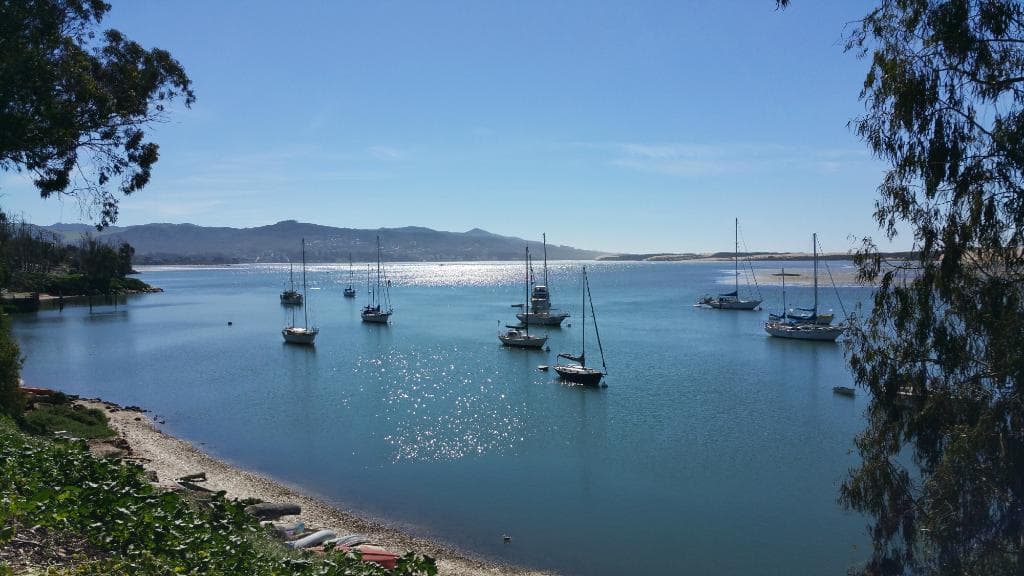 Watch the boats turn with the tide