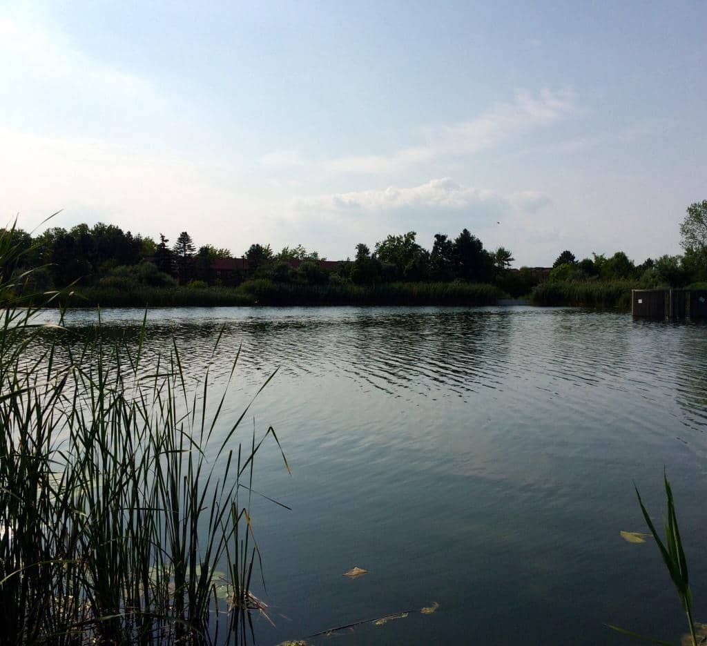 Lake Aquitaine Walking Trails