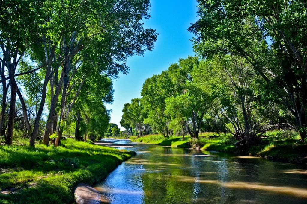 San Pedro River just south of Fairbank
