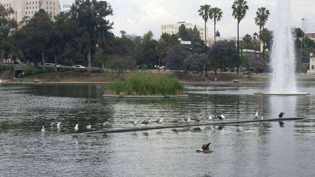 Levitt Pavilion Concerts