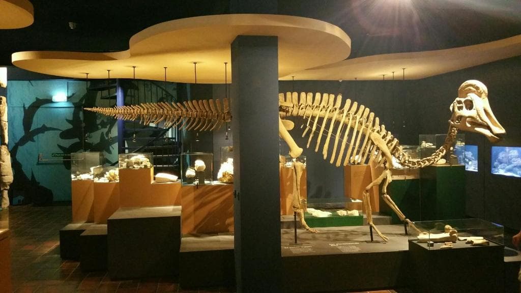 Natuurhistorisch Museum