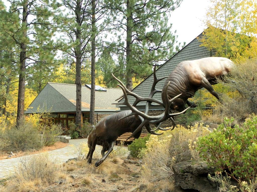 High Desert Hooves