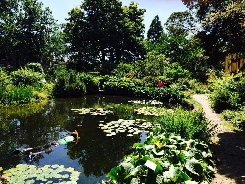 Leiden University and Hortus Botanicus Leiden