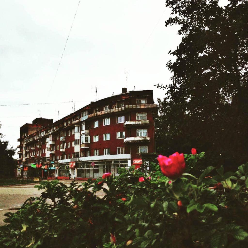 Vertical photo