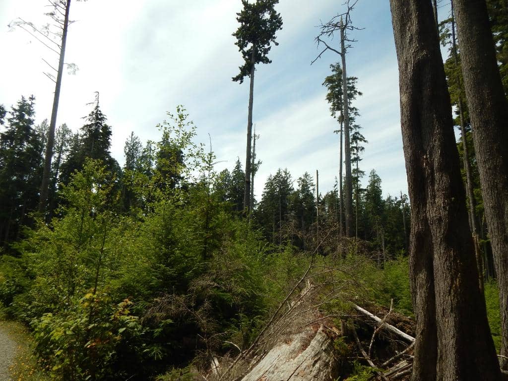 Vertical photo