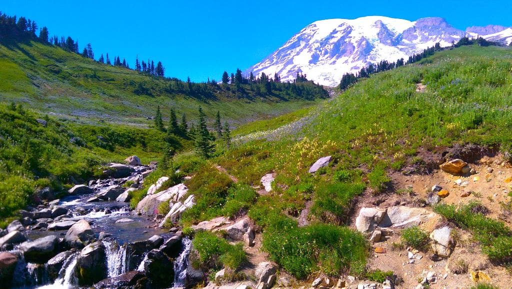 The stream flowing toward Myrtle Falls below.