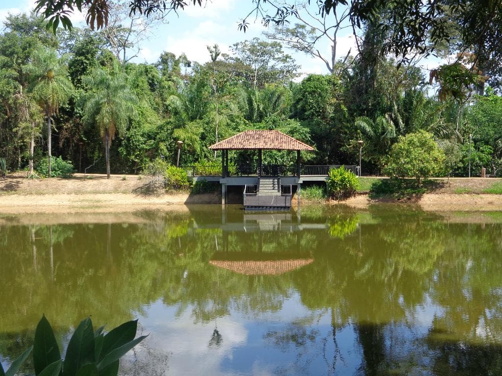 Paisagem do horto florestal