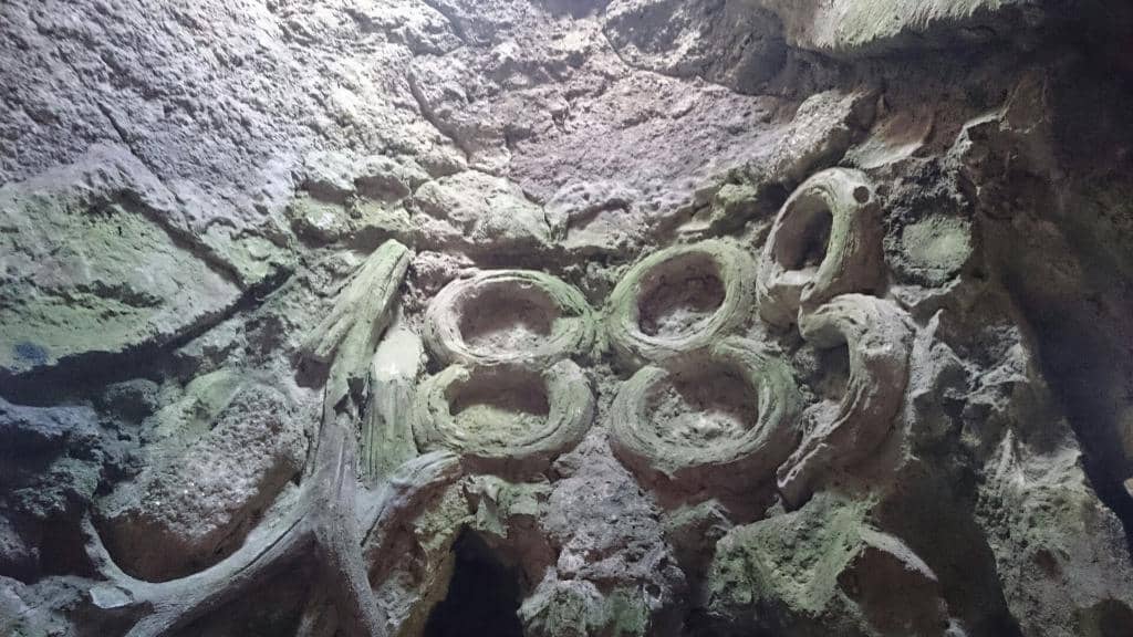 Restoration Insights