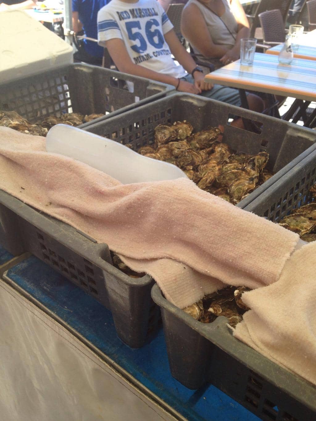 Artisanal Cheeses & Meats