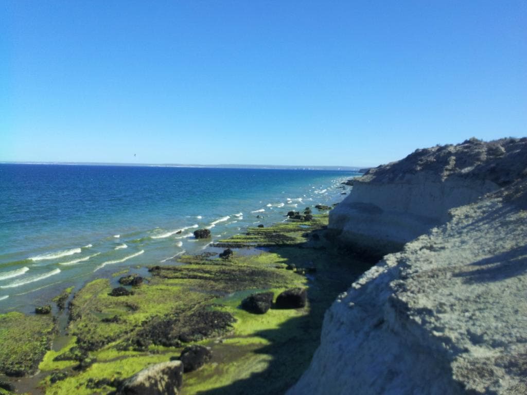 Doradillo