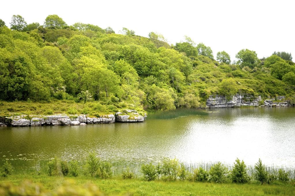 On path to Killone Abbey, Ennis, County Clare, Ireland
