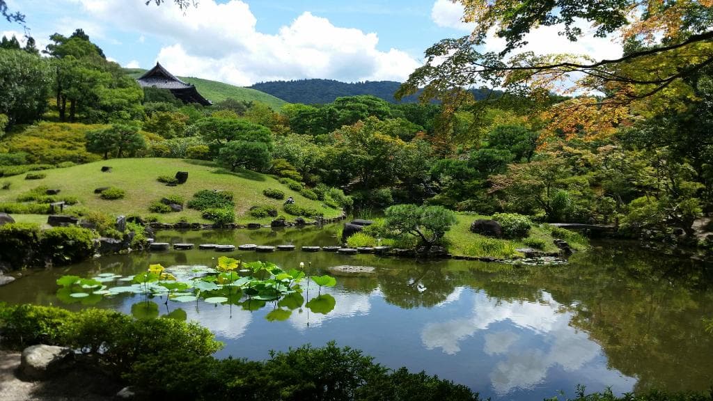 Strikingly beautiful if you enjoy a good garden!