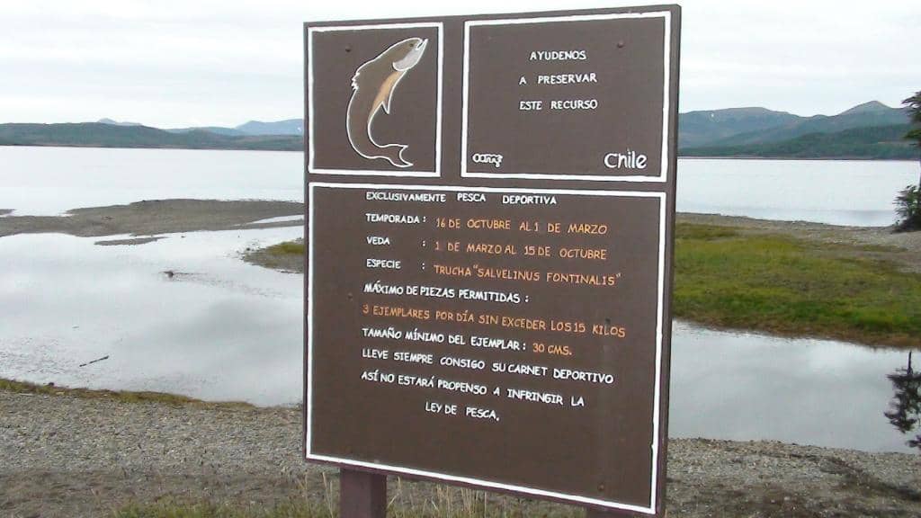 Forest Hiking Trails