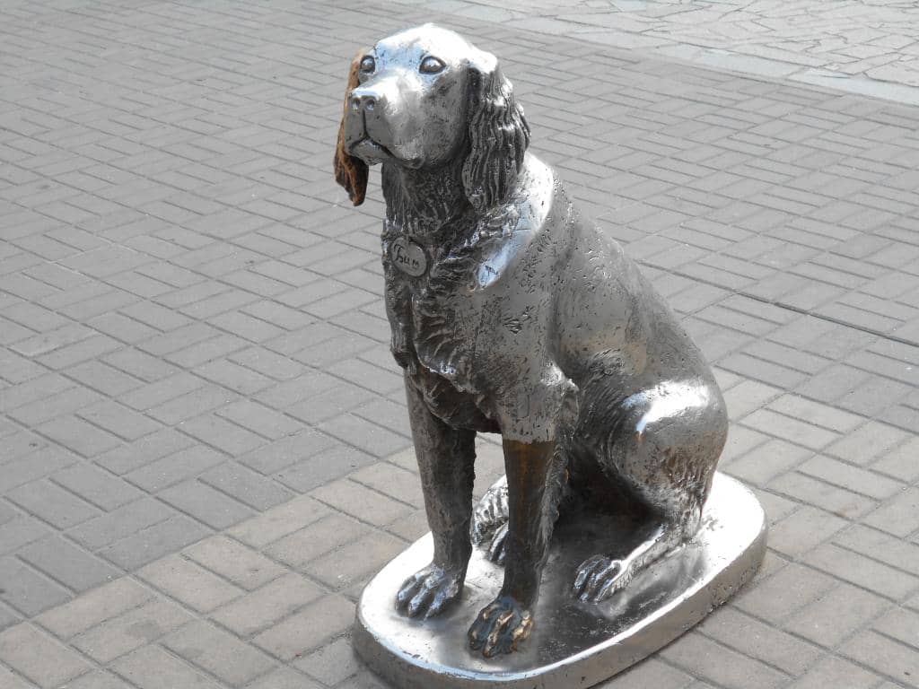 A Tribute to Loyalty