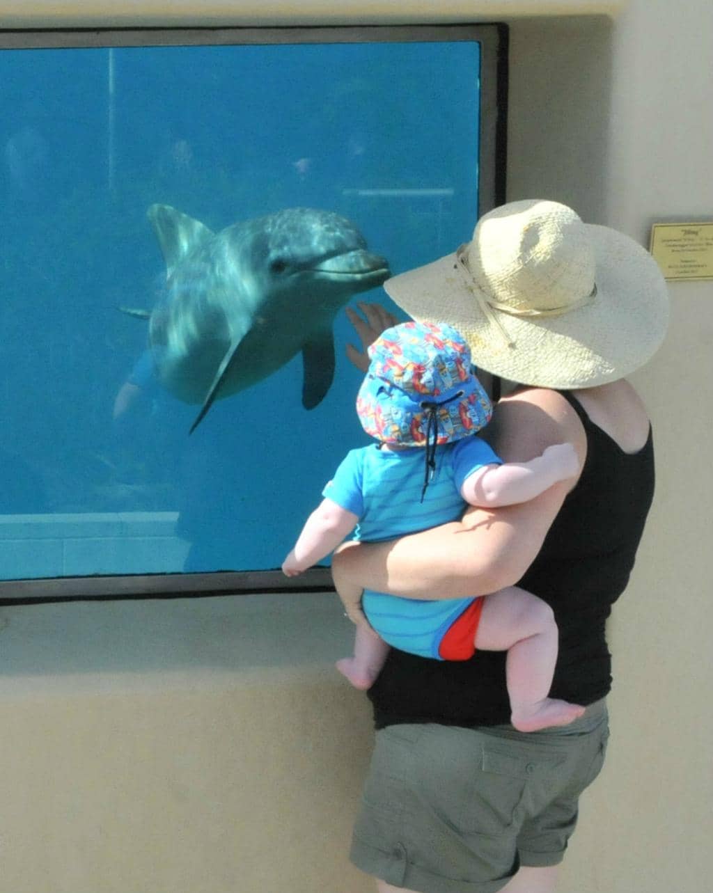 Marine Rescue Stories