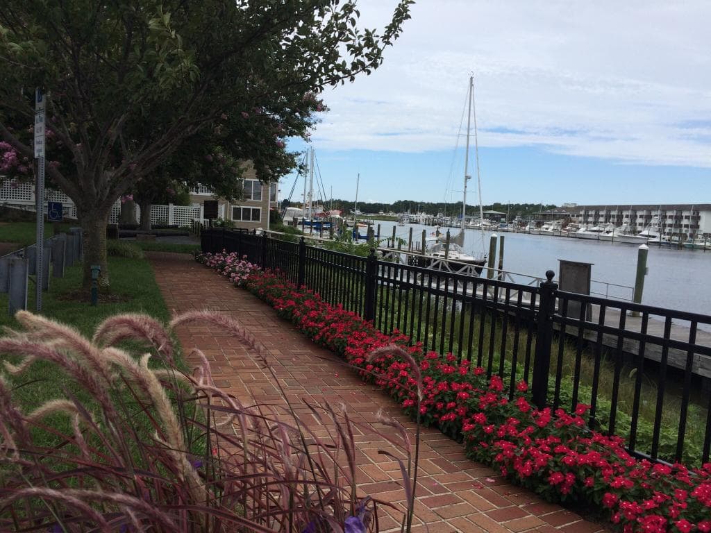 1812 memorial park Lewis, de.