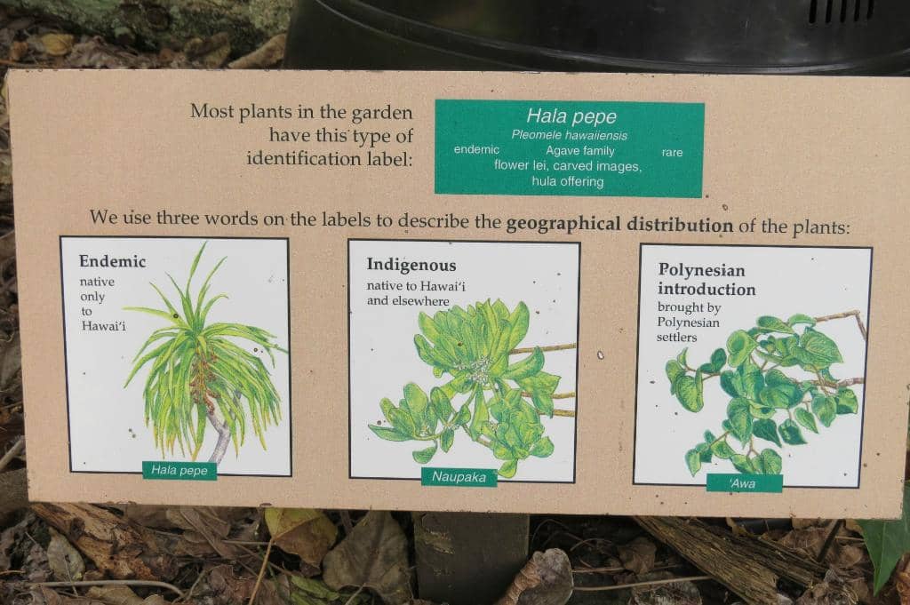 Insect House with Butterflies