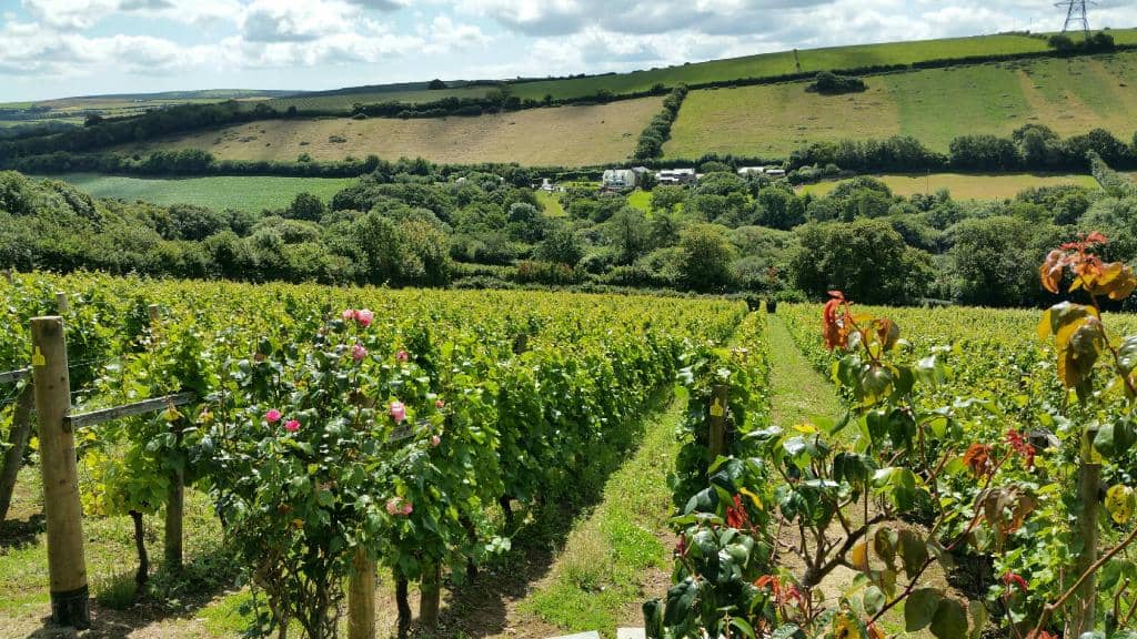 Stunning Terrace Views