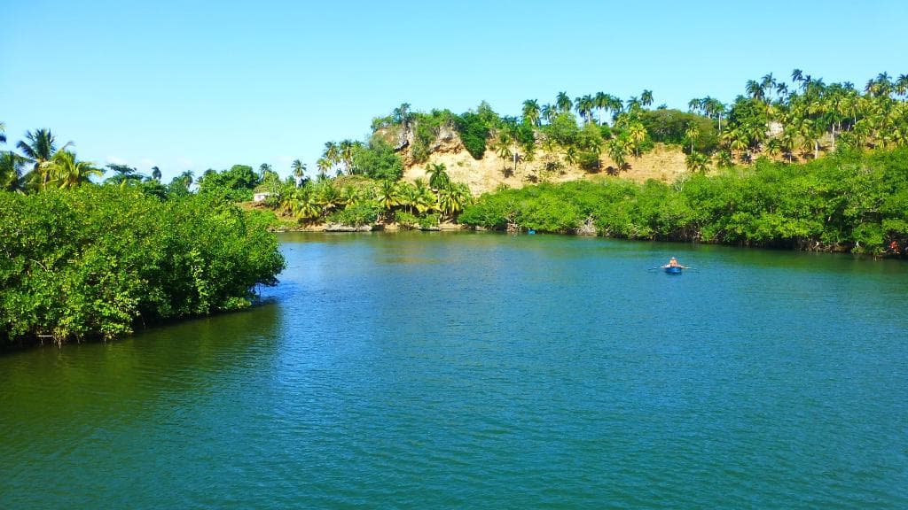 rio miel