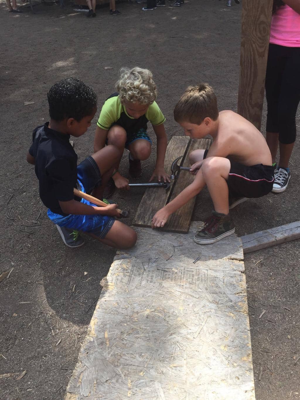 Highlights