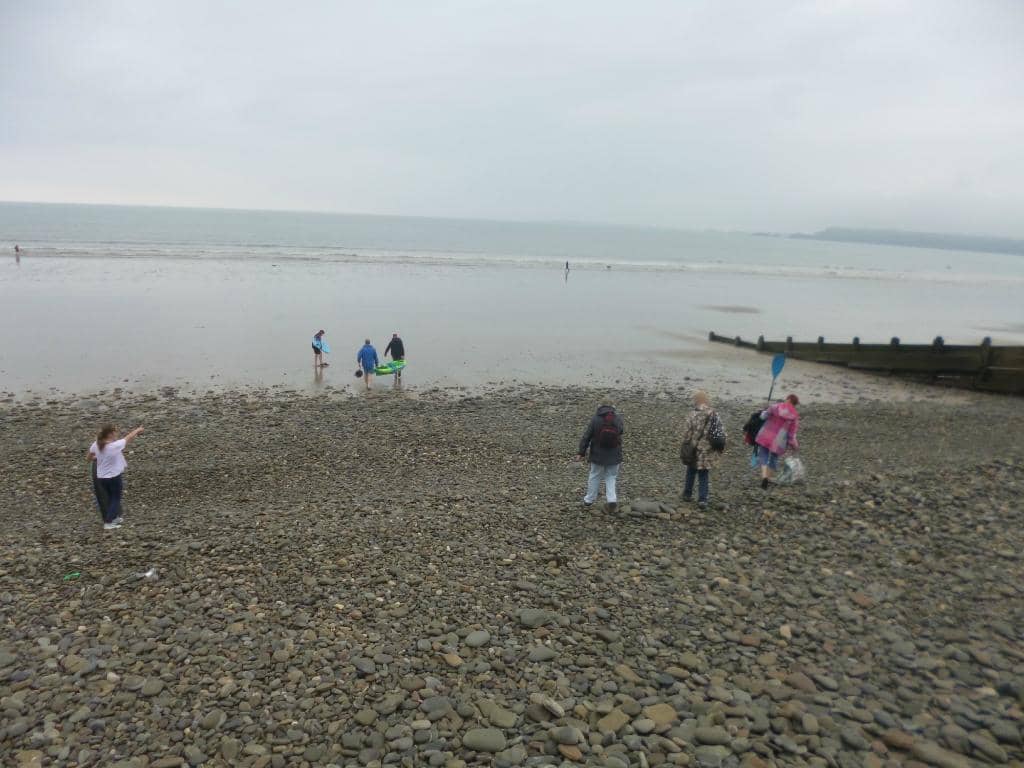 Rock Pooling Adventures