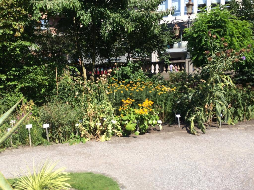 Exotic Plant Collection