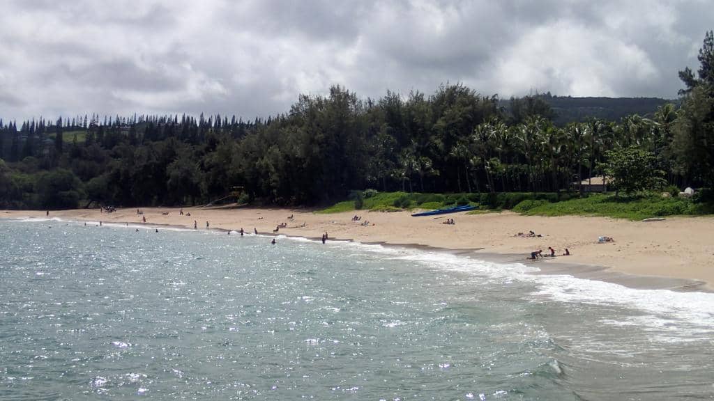 Powerful Waves for Surfing