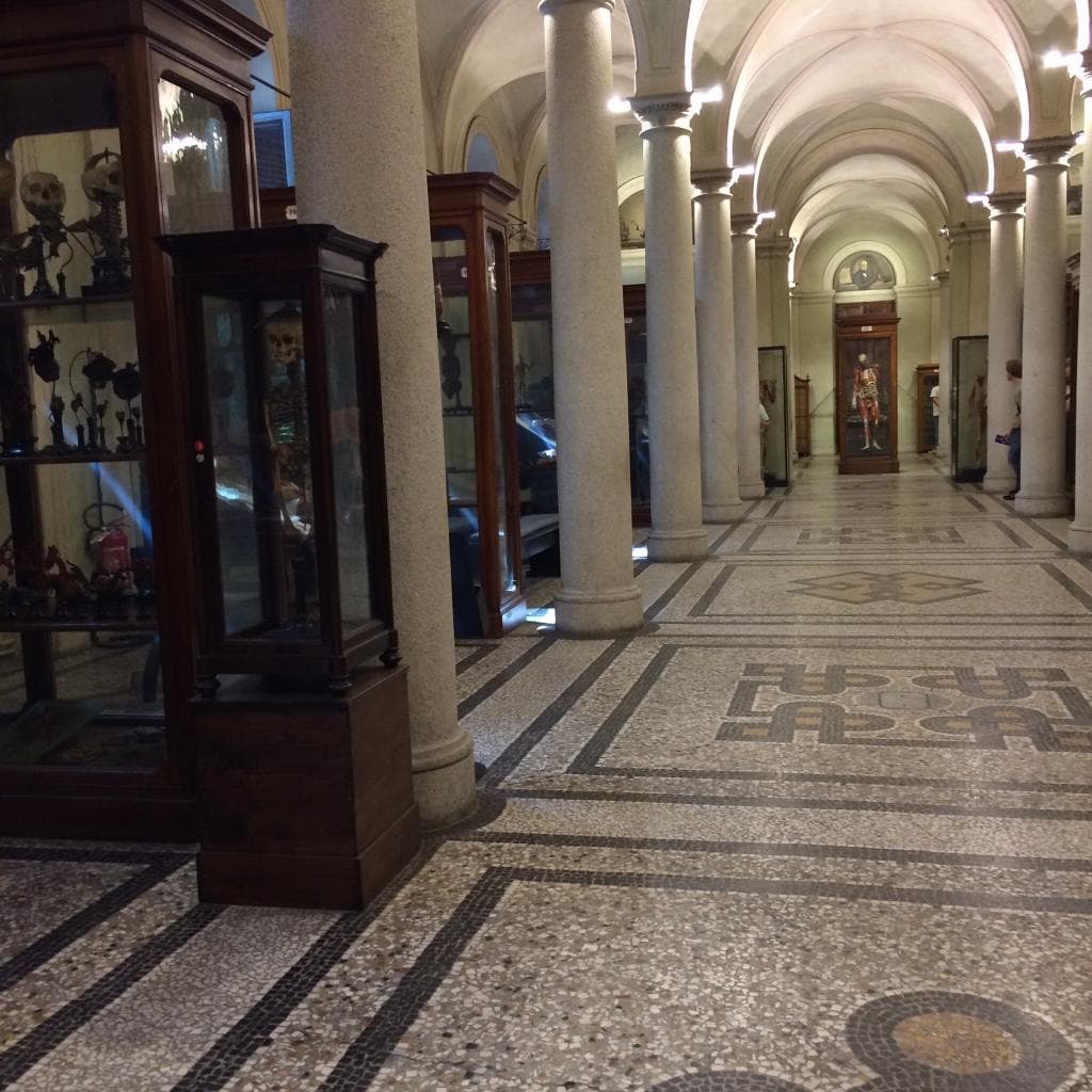 Tutto qui il museo!!!