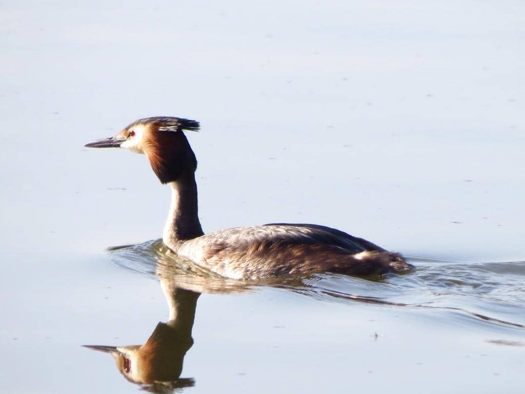 Adventure Playground