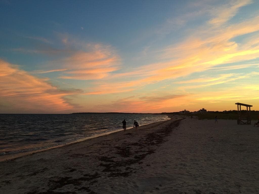 Seagull Beach