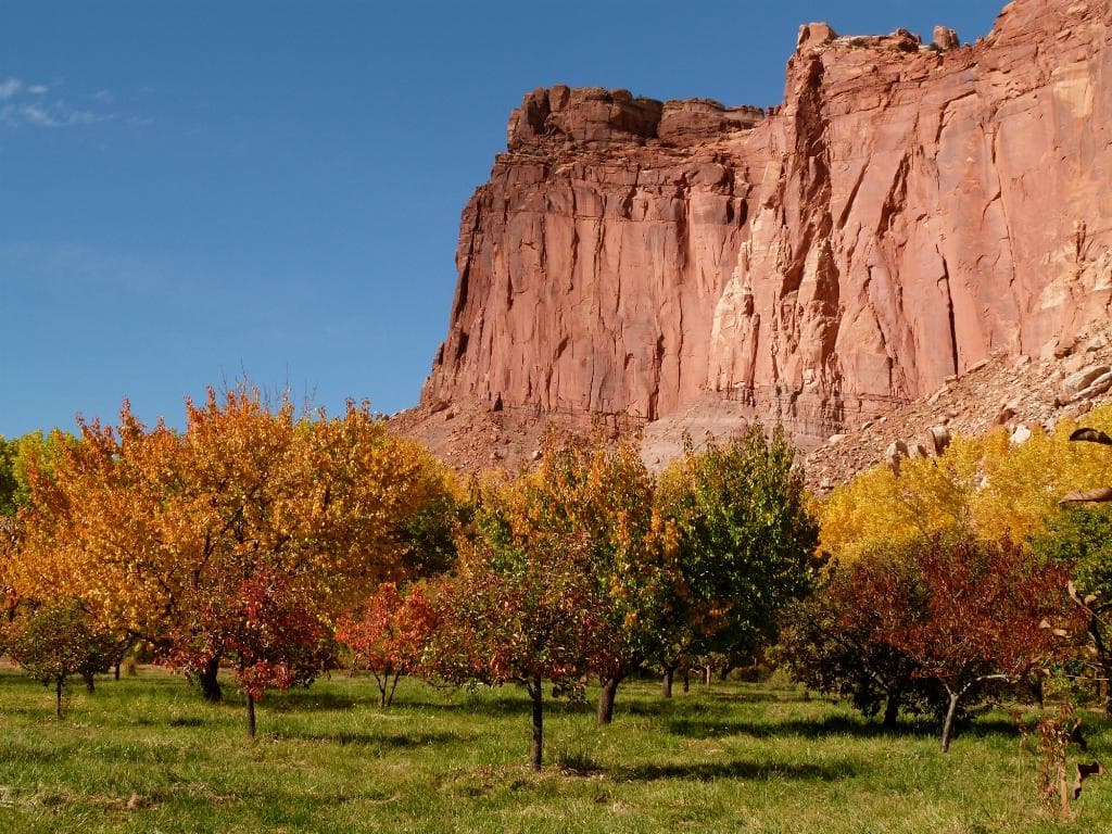 Views of the barn and orchard at the Gifford Homestead, Capitol Reef NP