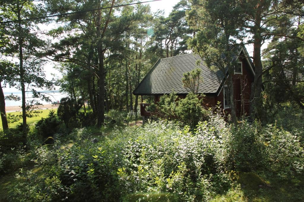 Wild Plant Discoveries