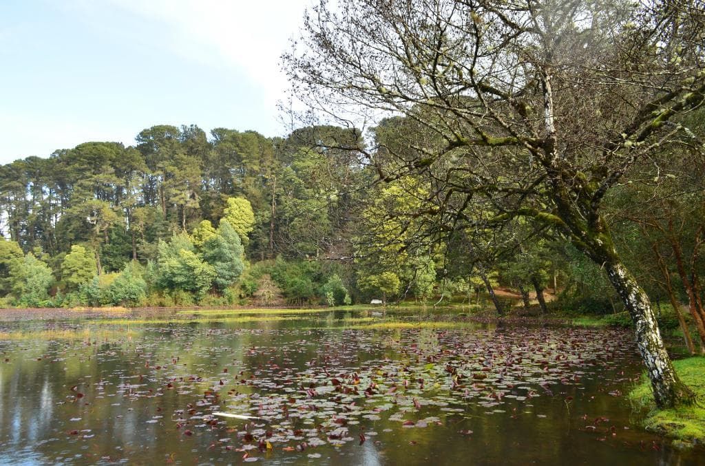 Laguna de Loto