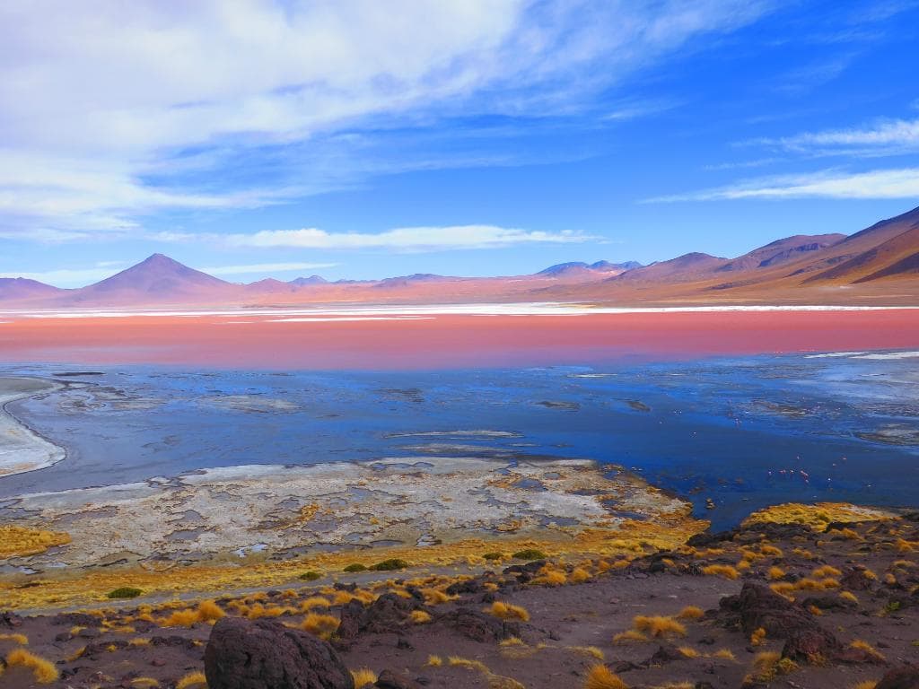 Laguna colorada
