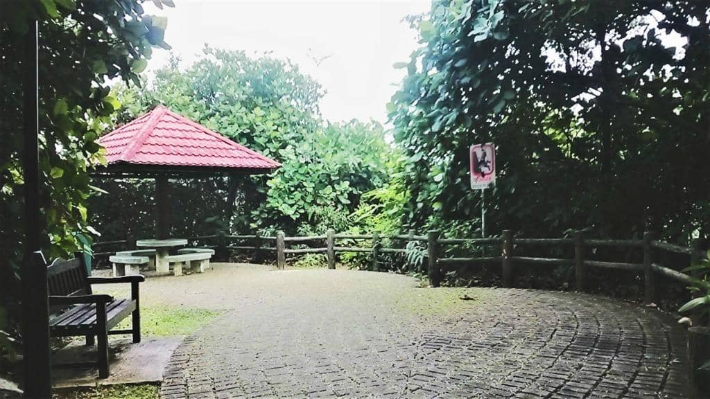 Mangrove Boardwalks