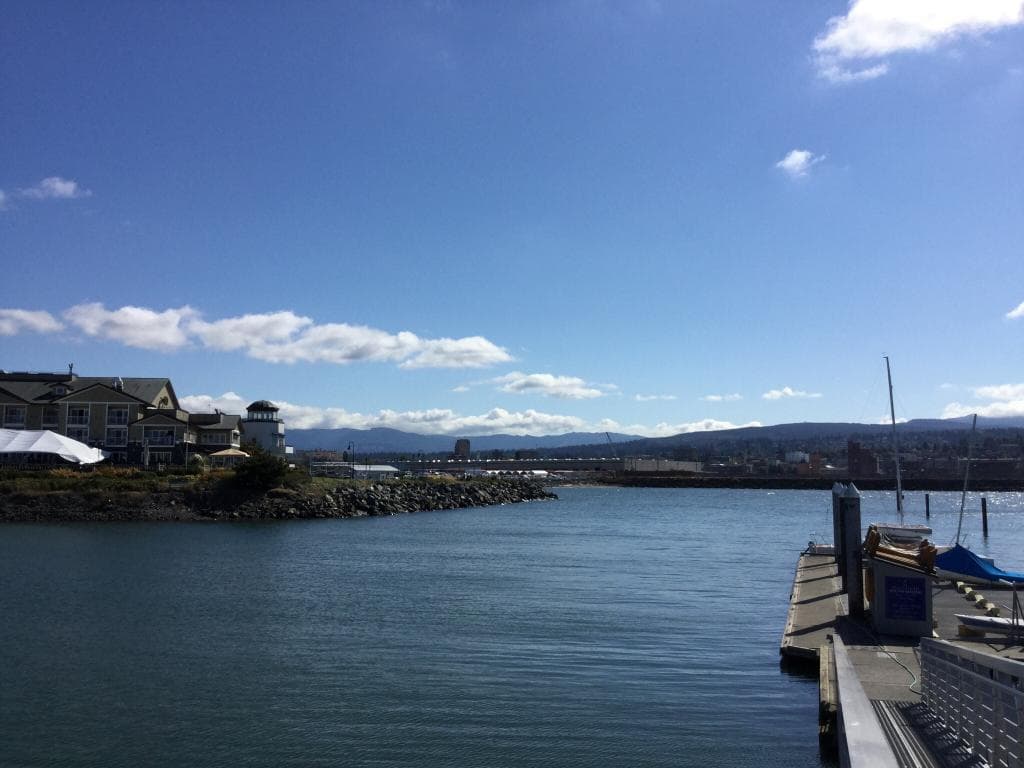 Beautiful Day at ZP