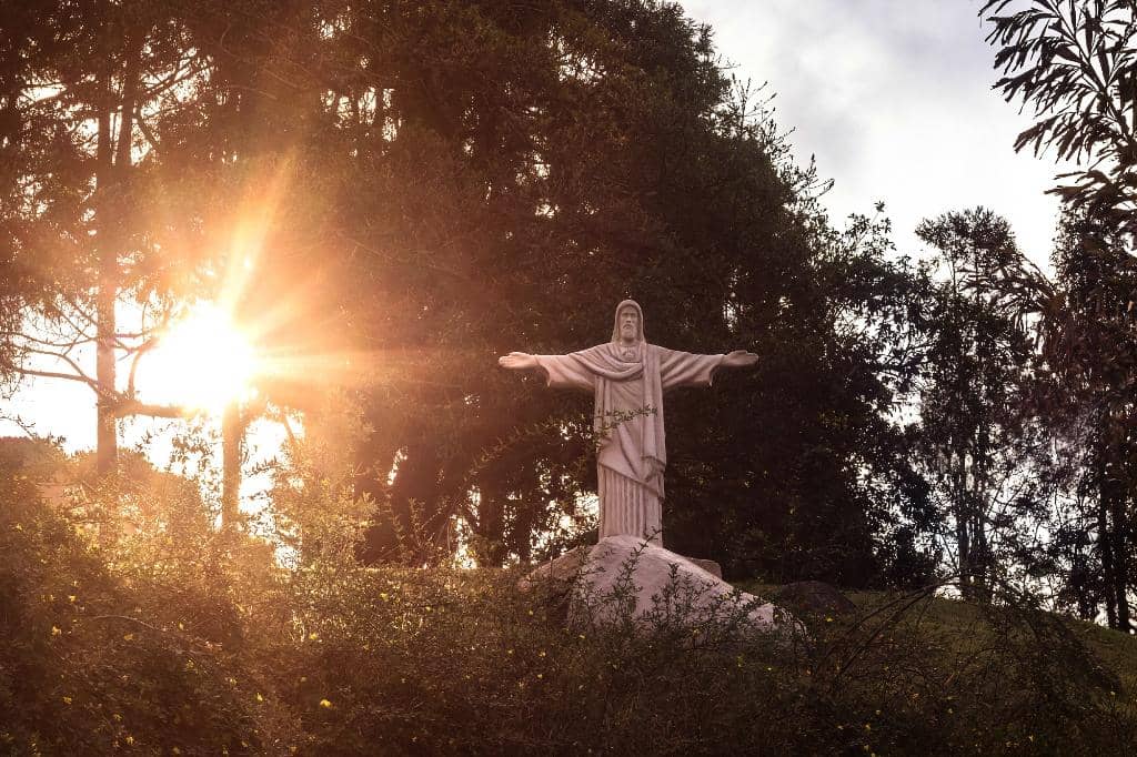 Wine Tasting Experience