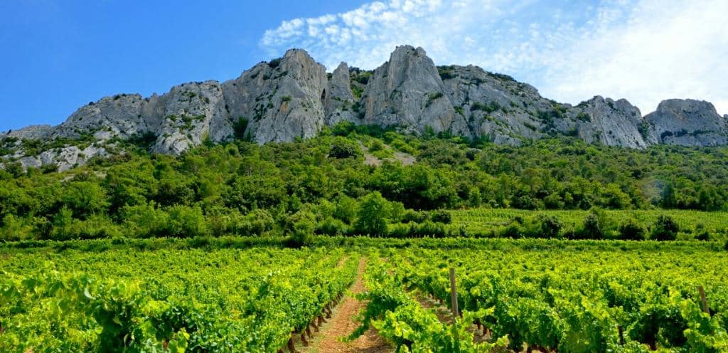 Hiking Trails from Lafare/Beaumes-de-Venise