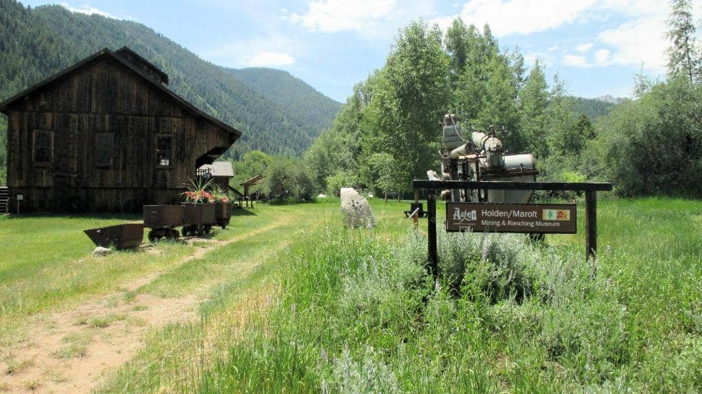 Knowledgeable Staff & Interns