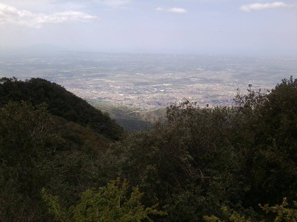 Charming Chalets & Cafes