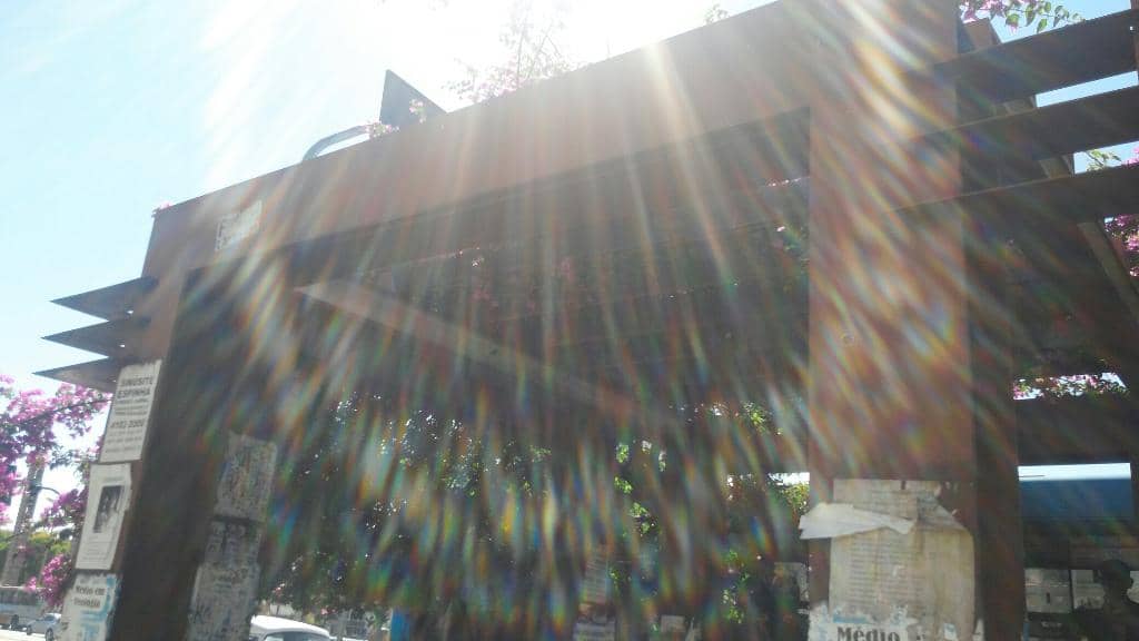 Vertical photo