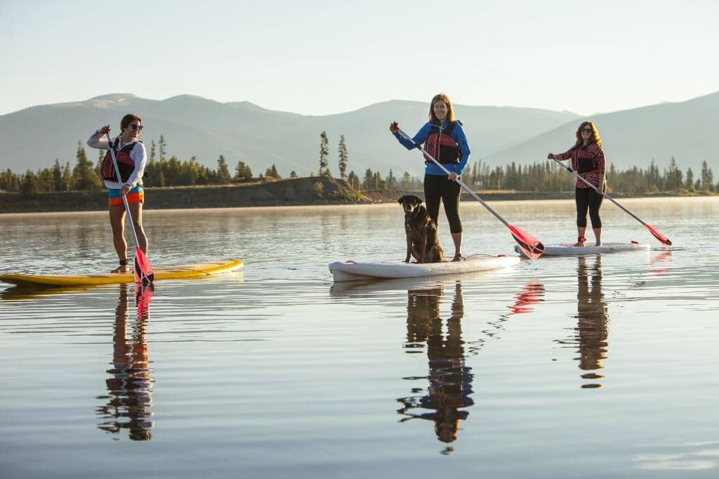 Kayak and Paddleboard Rentals