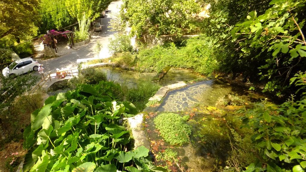 Lappa Springs