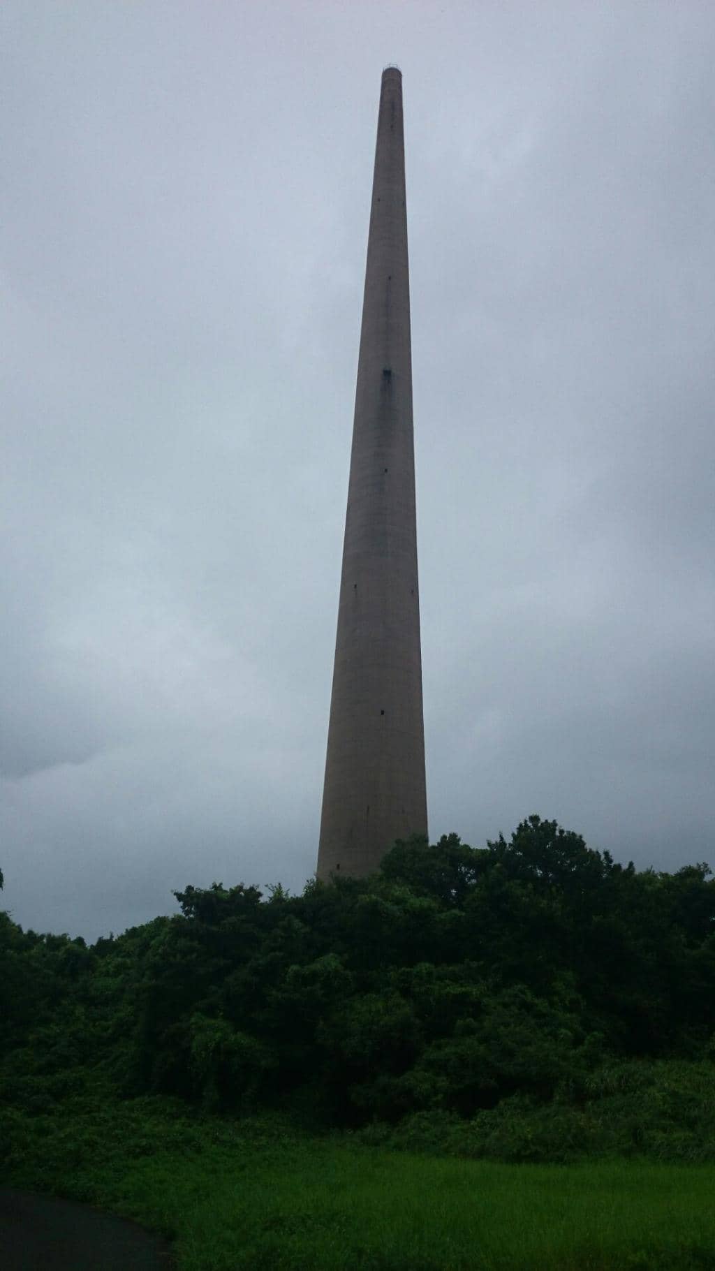 Vertical photo